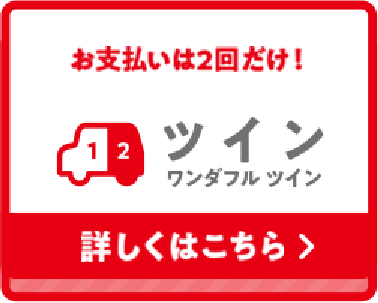 ツイン