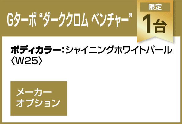 Gターボ“ダーククロム ベンチャー”
