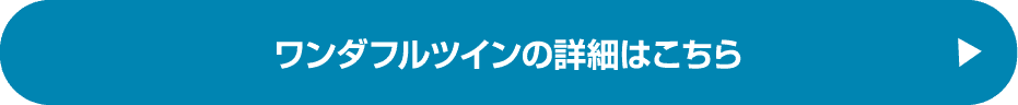 ワンダフルツインの詳細はこちら