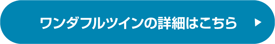 ワンダフルツインの詳細はこちら